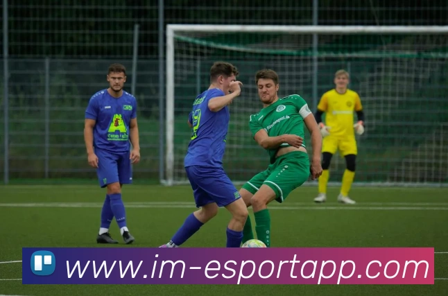 IM电竞平台生态图